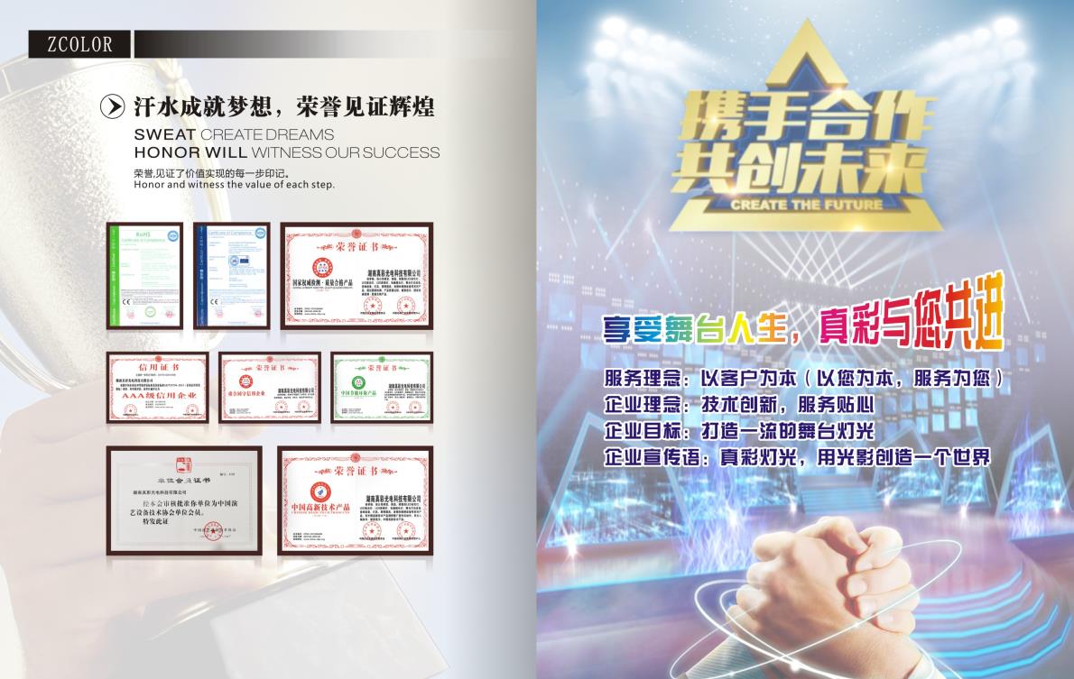 中智真彩公司简介.jpg